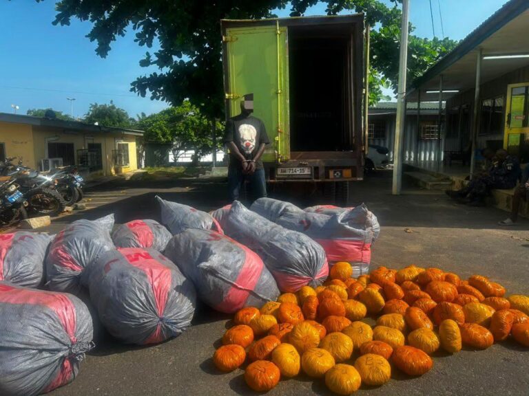 Tema Police intercept suspected Indian hemp shipment on Tema–Ada road, one arrested